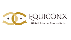 clients/equiconx.png