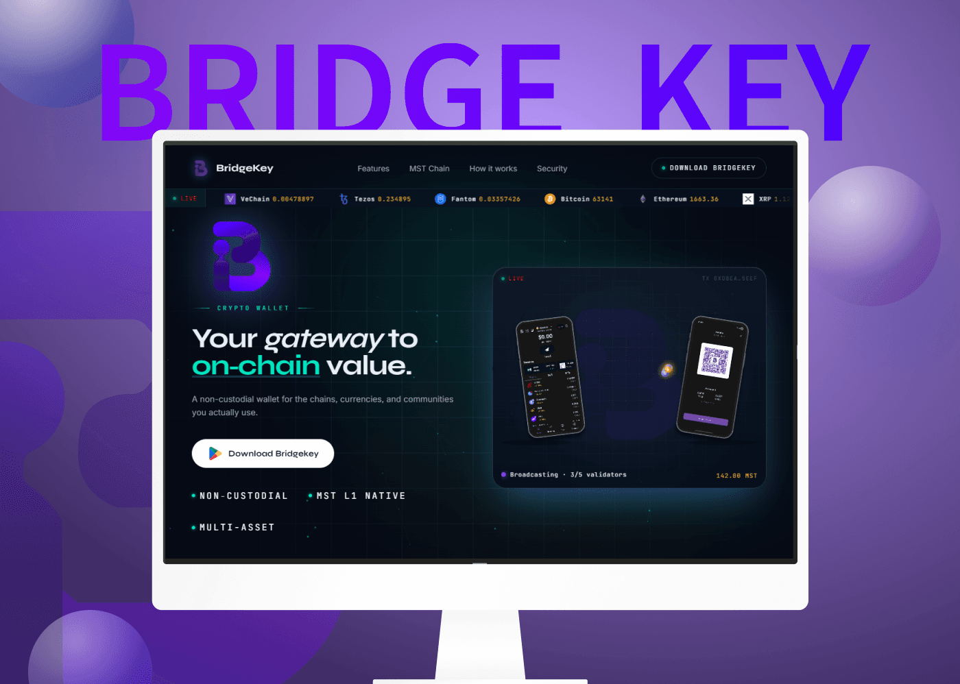 Crypto Wallet & Multi-Chain Digital Asset Platform
