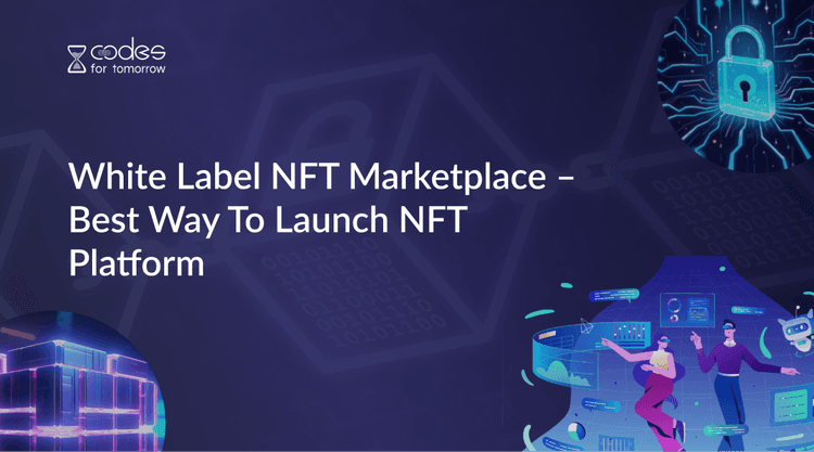 White Label NFT Marketplace – Best Way To Launch NFT Platform
